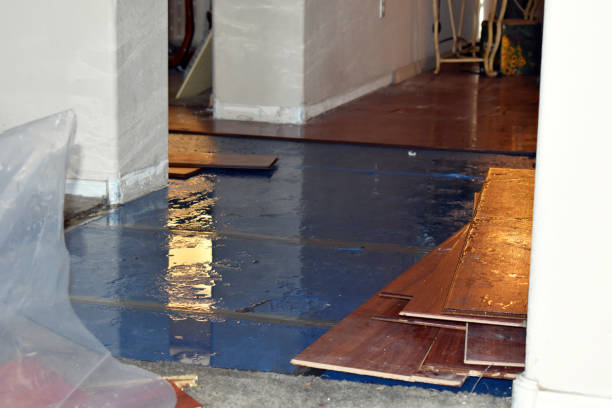 Professional Water Damage Repair technician working in Fayetteville, TX
